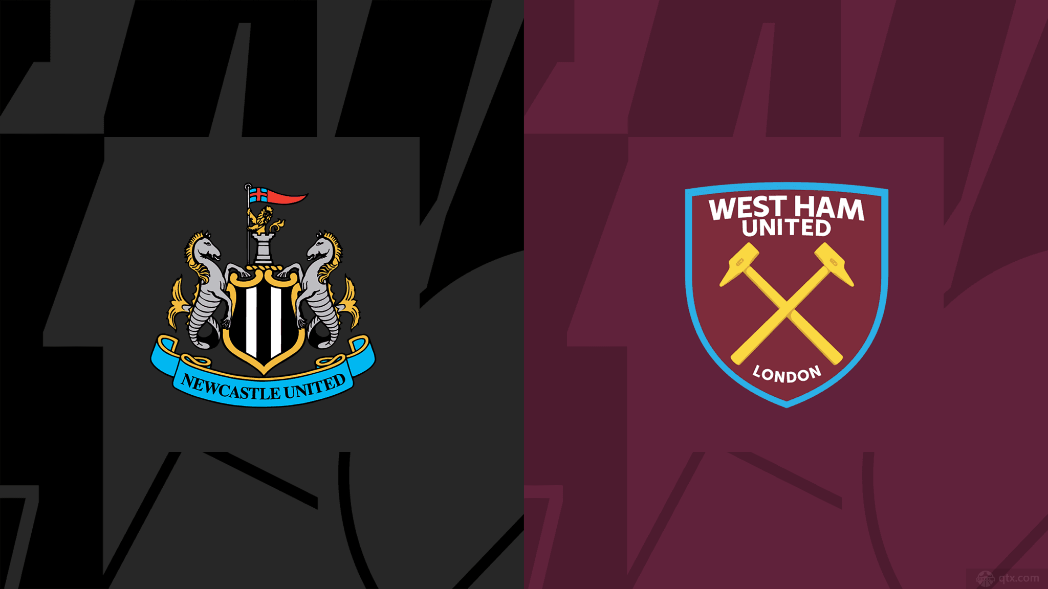 了广泛关注 了广泛关注