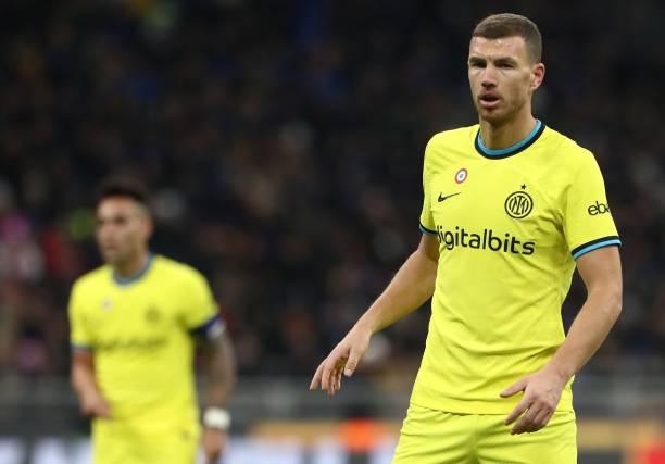 适应能力 适应能力