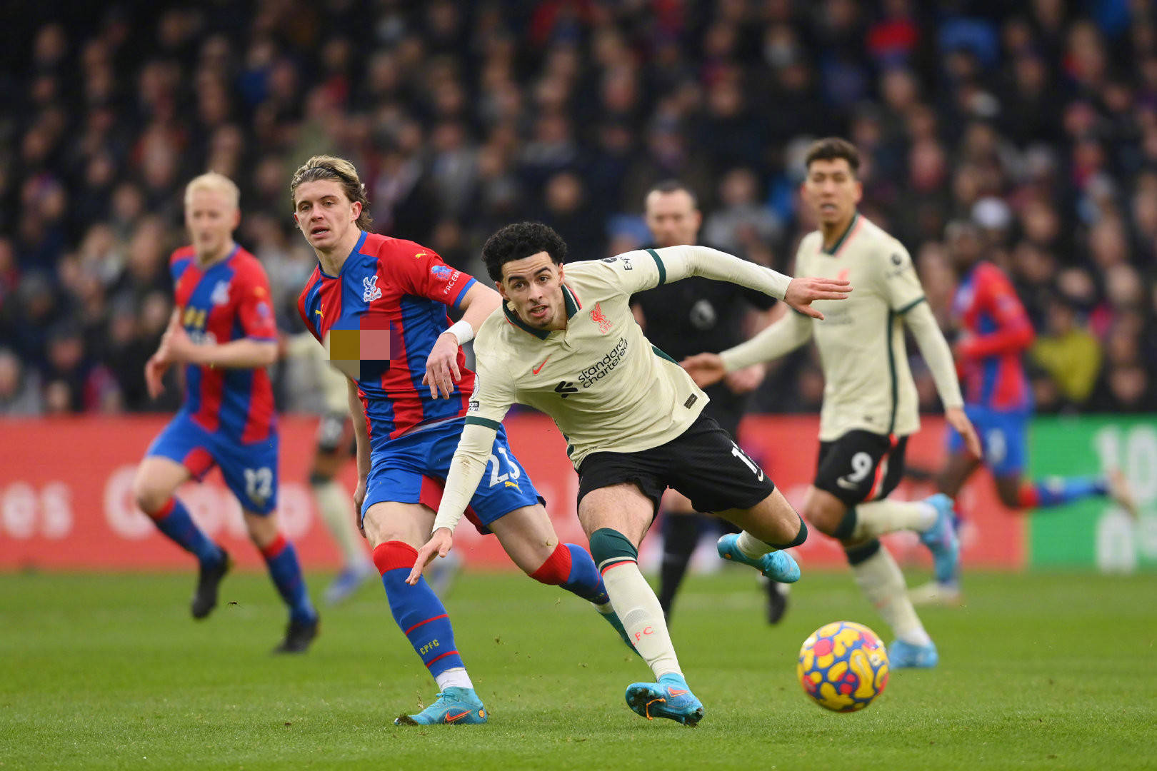 的每一个进 的每一个进