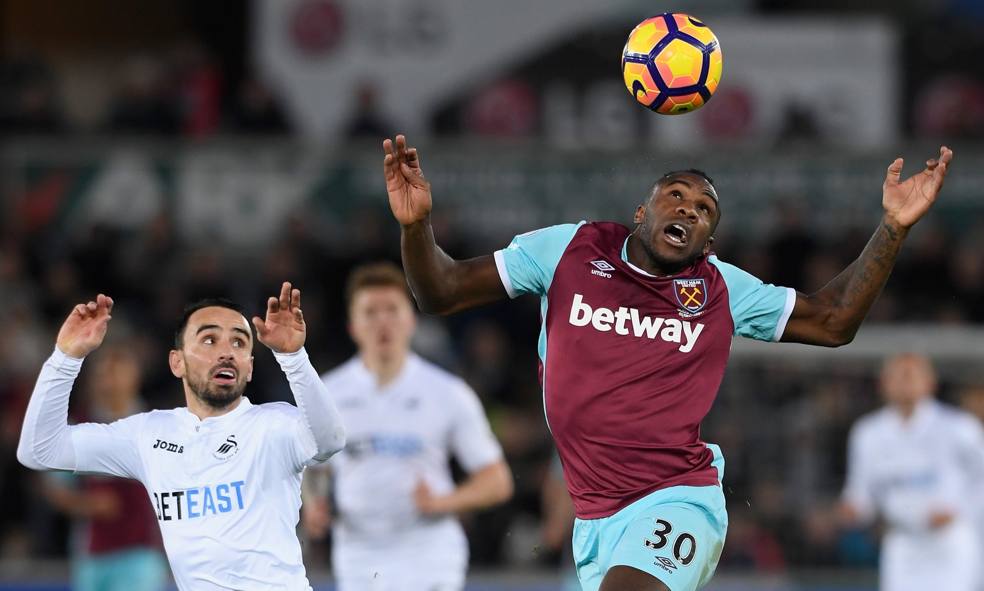 的领导体系 的领导体系